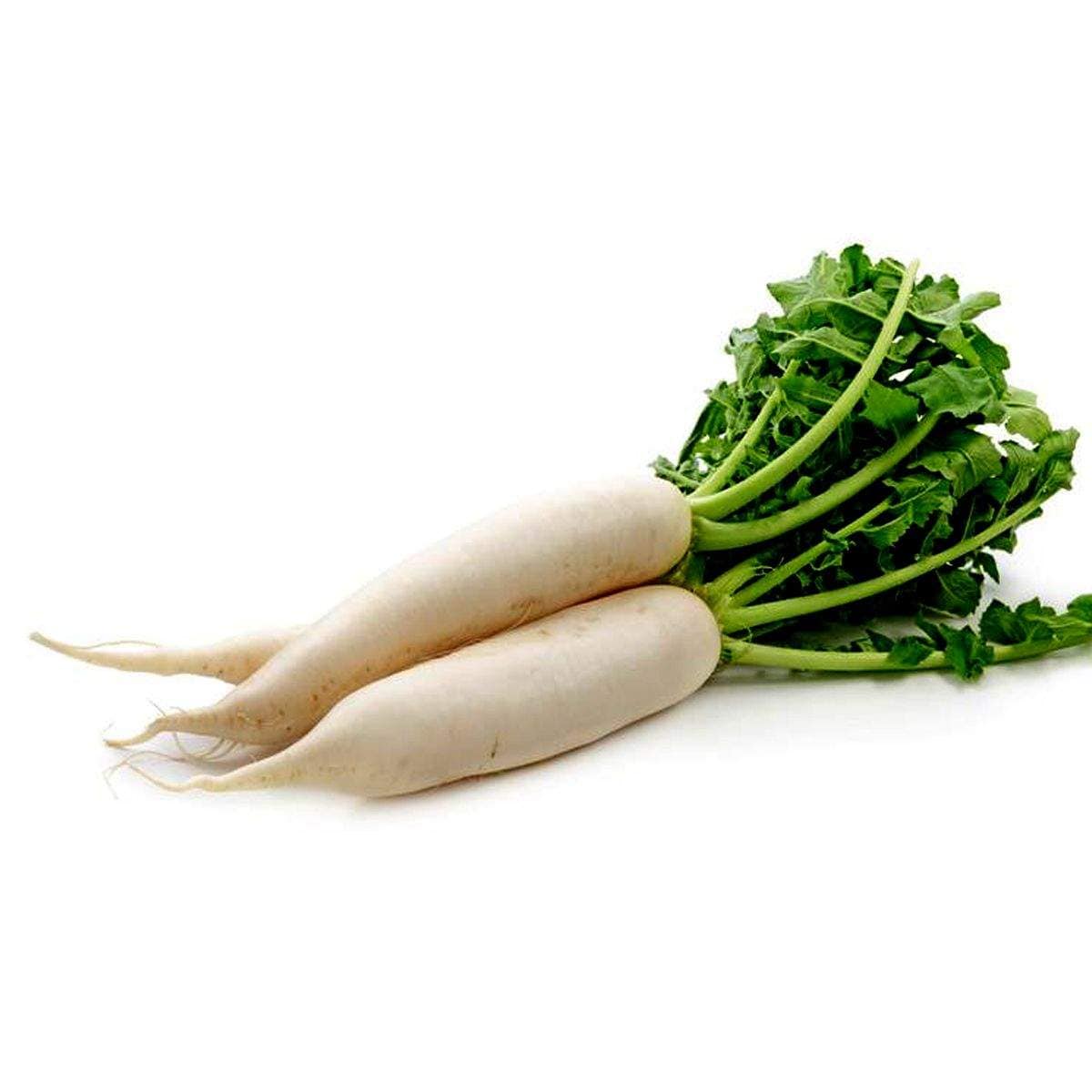 Radish White Long (Mooli) Seeds (50 Seeds) – PetalCrafts